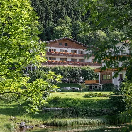 Panorama *