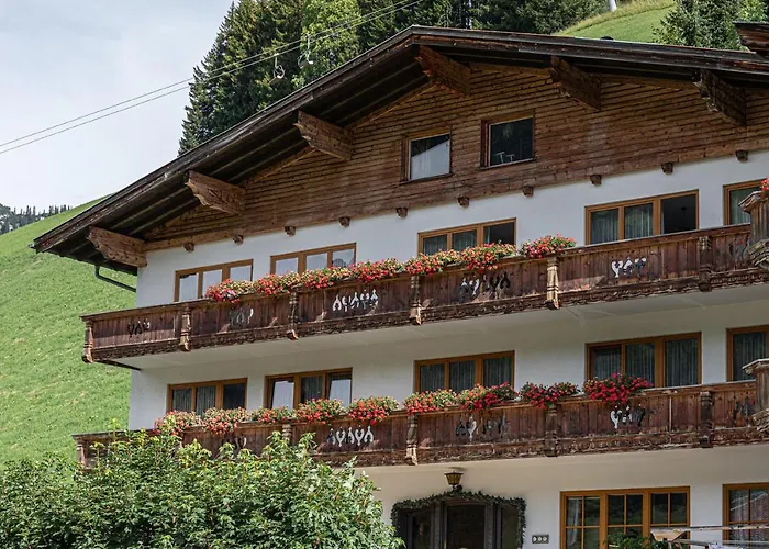 招待所 全景小屋旅馆